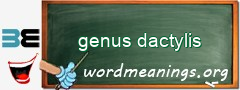 WordMeaning blackboard for genus dactylis